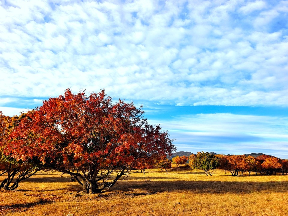 mmexport1665100342409_edit_612207833322208