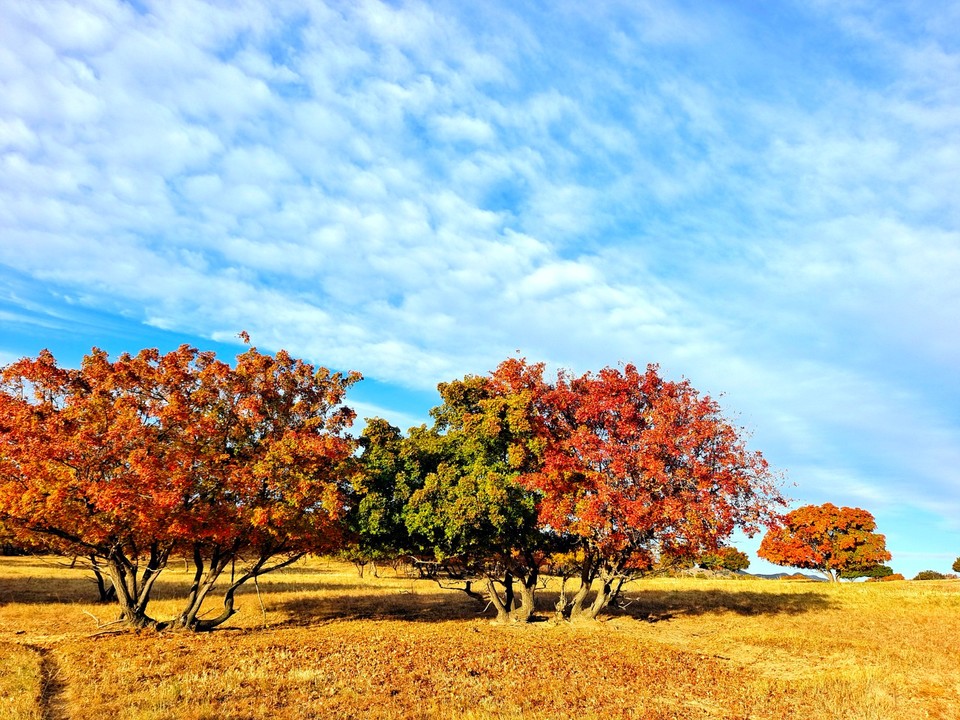 mmexport1665100362623_edit_612133367287324