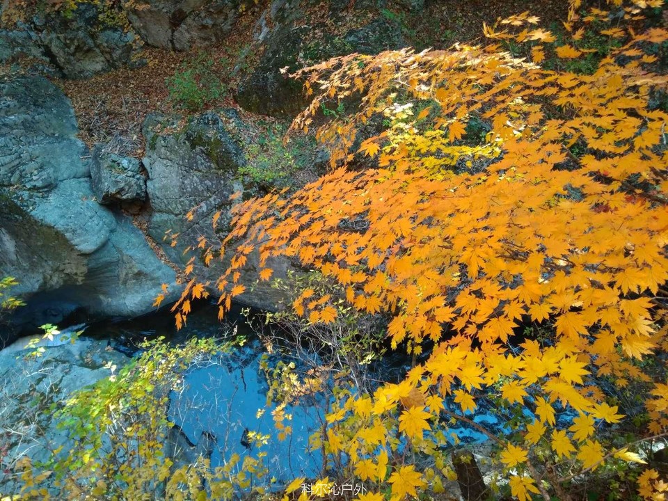 3ncncFc7mPnBqBwIq9Q_1mwRu75cEuX0pfB3osJ05avn3MXCylPY-0x2BJU5N_FP