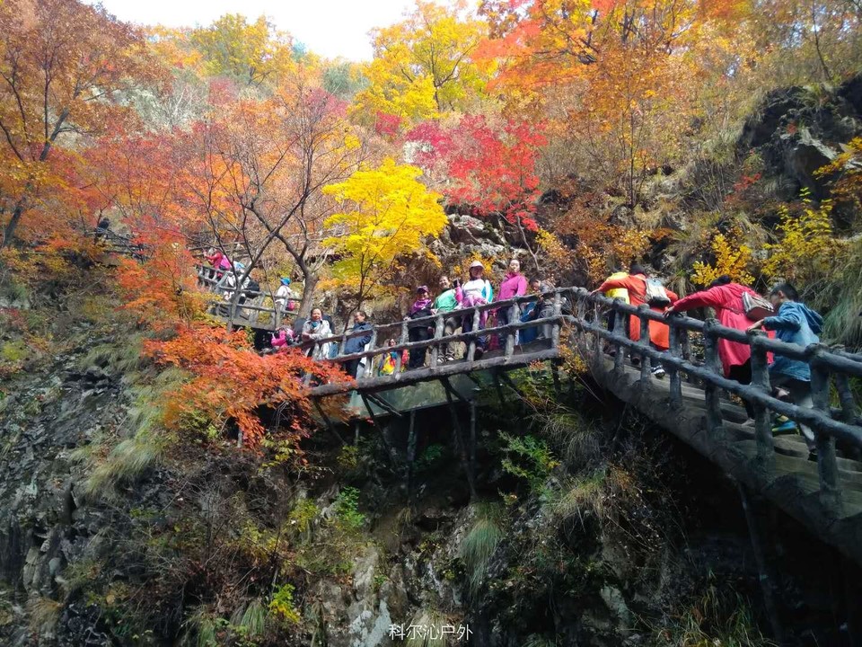 CUPPqhQWMrWXhF195vjTh0LiwyDjd-9GEOD14_UNZTTklwmRHFMYyQFWk1kgSsaB