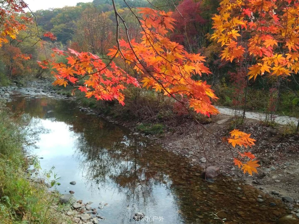 6j4CxqDhH1BcGn4tlLCidX_cFgmWXlM18VCAZ9J66UHl-qwEijw8d9R8JoOaYqra