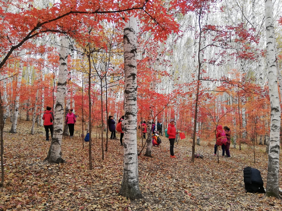 5TWKoQuHN1lhoLrPS9GBwy5wmhLayKhcR0bcgaQx1_5TkbSQLEvyBZ3tEq6yb_Q0