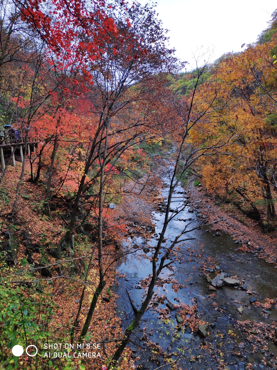 HzuyAzPx4IHrF25PoJapolIstl4Nitrw9TKPGtNU-MKQjcXpz2soBegqG1_b0Wu6