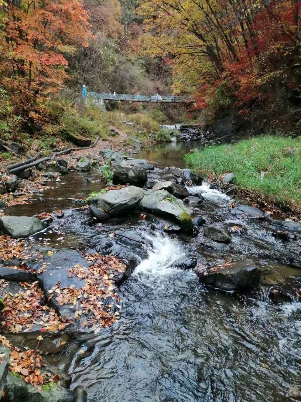 NdWQQ9rRUdfNN7eJKku1s9pYefI50d7HGgDf01PuFs3jUYOdHkGpZecErK0dtN93