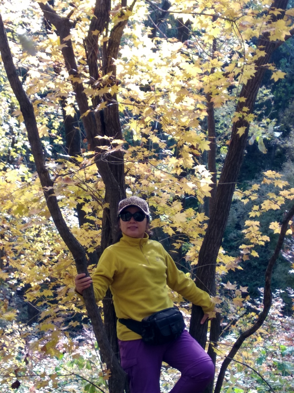 7cAgm8kRWS0wwET06izjIukEj97Cokywai8WbZnHDDwtYNqltZYY0AV6Zu1EDbLa