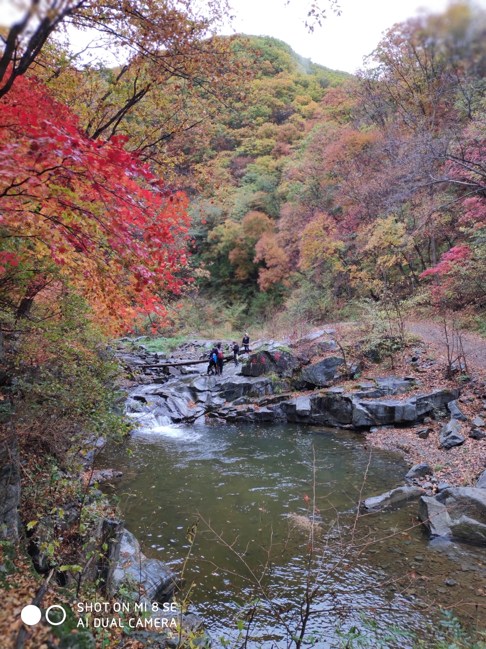 bN6Y_dJl1CJ8yhvCKVrZsbWTzaykB1u59i8a3id1CfFZ9h1q__DijKeR-5_4WJre