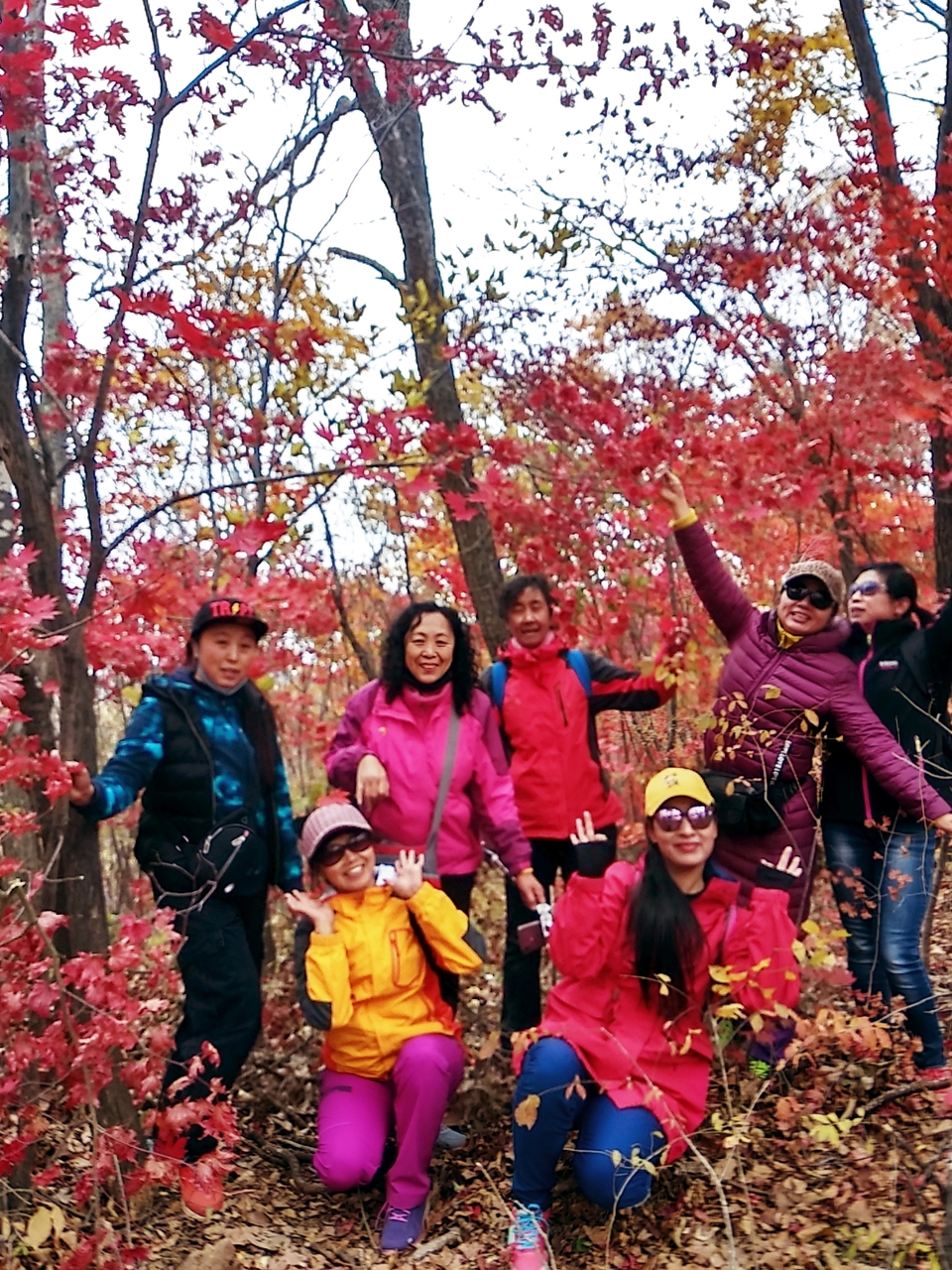 wq8AK3i2vG46EU5e5aO107-PMT6Ou_GxSTybRIn6oXzQQYWLXP5B5a6erZwyuGFb