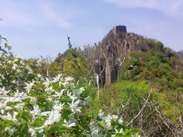 【17户外】5月29-31日赴秦皇岛山野，穿越花厂峪情人谷赏天女木兰，探访古长城秘境
