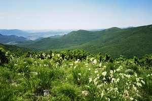  【17户外】8月29日海日罕山穿越：徒步原始林区，登顶俯瞰草原与森林交织的壮丽画卷，感受秘境之美