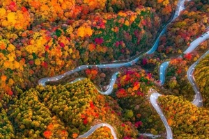 【17户外】秦巴秋色10.28-11.3：光雾山-米仓山•十八月潭•阆中古城•剑门关•青木川古镇•金牛古道•7日深度休闲游