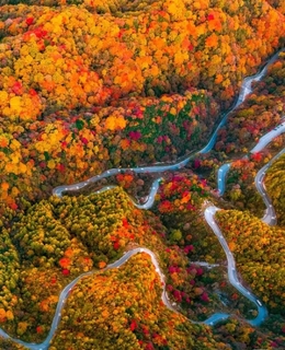 【17户外】秦巴秋色10.28-11.3：光雾山-米仓山•十八月潭•阆中古城•剑门关•青木川古镇•金牛古道•7日深度休闲游