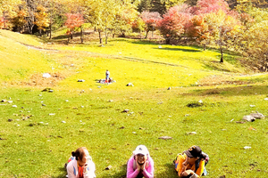 【17户外】10月1-3日吉林白山·赏秋景·看最美枫叶·溪谷、四方山穿越增强版