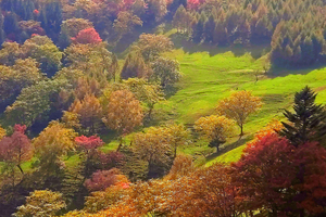 【17户外】10月1-3日吉林白山·赏秋景·看最美枫叶·溪谷、四方山穿越增强版