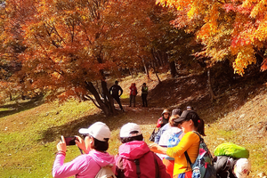 【17户外】10月1-3日吉林白山·赏秋景·看最美枫叶·溪谷、四方山穿越增强版