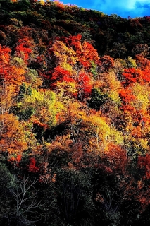 【17户外】10月10-11日抚顺萨尔浒休闲、天女山赏秋野线穿越，大伙房水库鱼农家饭菜