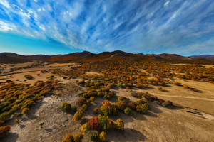 【17户外】10月6日扎鲁特之秋：徒步别日木图山地，登顶俯瞰草原与森林交织的壮丽画卷，看通辽最美的秋天