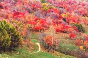 17户外10月1-3日/吉林白山·赏秋景·看最美枫叶·溪谷穿越增强版