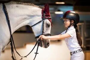 1月31日龙鑫马术俱乐部免费体验骑马