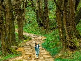 【17户外】11月5-9日川蜀古道—金牛古道、剑门关、昭化古城、翠云廊、千佛崖、拦马墙，5日深度旅徒，探行千年人文
