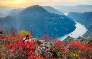 【17户外】11月26-30日三峡红叶||白帝城+瞿塘峡||巫山红叶文峰观||三峡之巅+66拐||神女天路5日轻徒步游