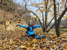 【17户外】11月23日星期日秋染医巫闾，寻味山野间｜闾山爬山+山货寻味一日行