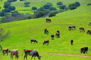 5月19日大青沟一日游（旅游日特价）