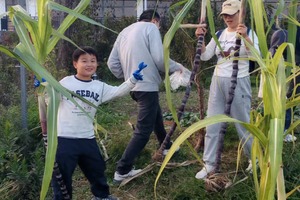 【10月31日】丰义村探洞&神仙湖&拔甘蔗体验（世纪大道/中庚/松江）