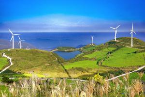 江南100 悟·花 宁海桑洲越野赛