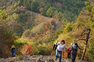 天台大雷山徒步 ： 两天一夜穿越天台秘境，邂逅千年传说与绝色山河
