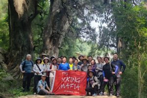 7.6-12 徒步古蜀道金牛道广元段：探寻半部华夏史的文明动脉