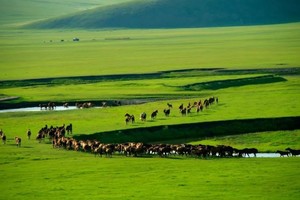 25.8.9-15 内蒙徒旅：固阳秦长城，希垃穆仁大草原，库布齐沙漠