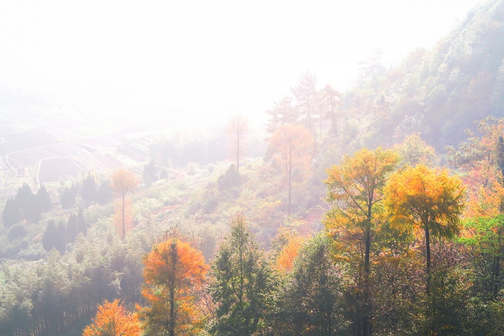 四明山秋天景色