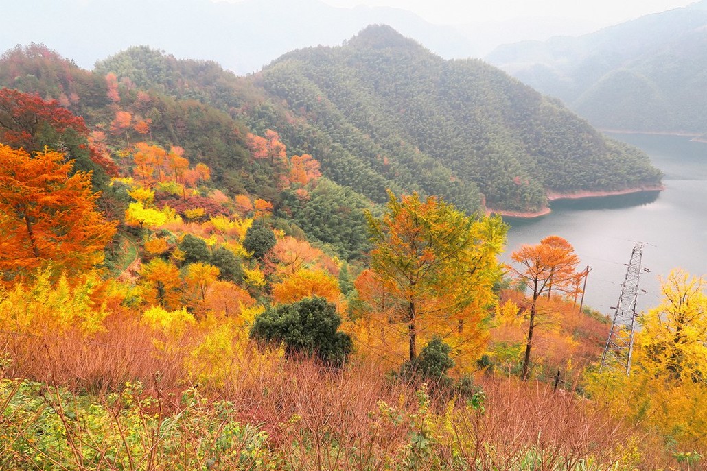 四明山秋天景色