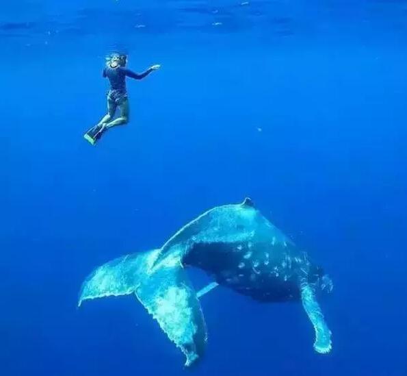 他25岁赚了3.5亿,却卖掉房子,带着妻儿全世界流浪