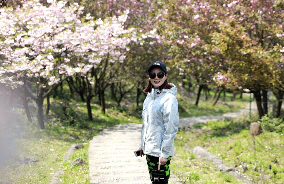 032A9315_副本_副本