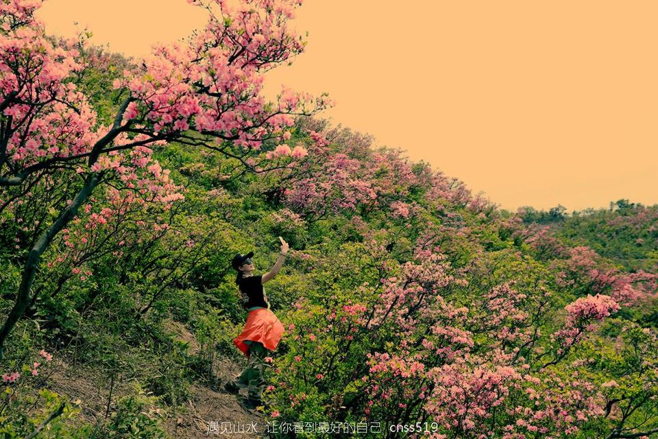 032A3204_副本_副本