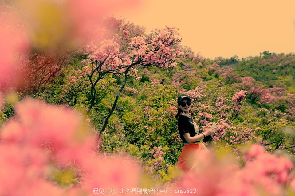 032A3209_副本_副本