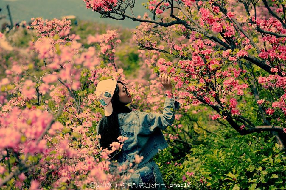 032A3239_副本_副本