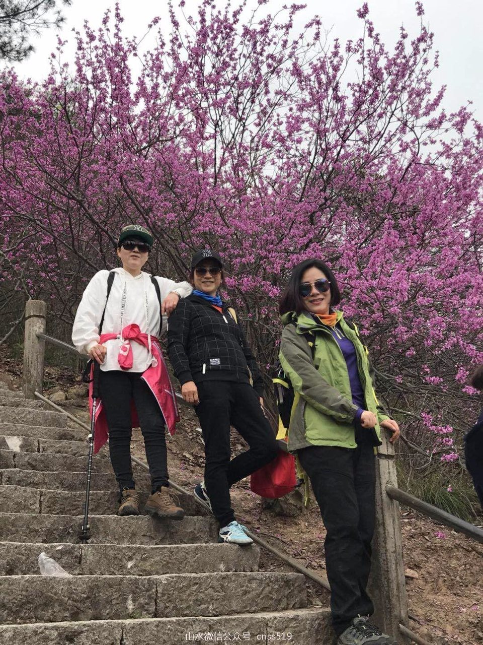 mmexport1521374225565