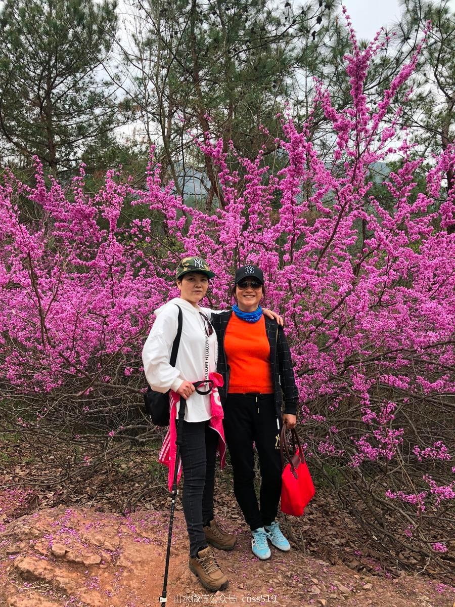 mmexport1521346823077