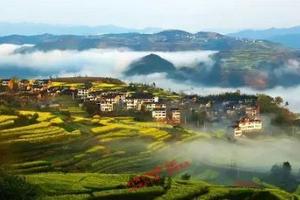 3月25日走卢江古道 赏千亩桃花和油菜花：田洋卢-南山千亩桃园-江家-屿东彩石村-南山章-滴水岩景区-桑洲中学