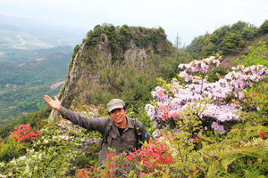 4月15日黄金坦-万松洞-红岩-石笋山-仙岩洞 赏万亩野杜鹃  看奇峰怪石