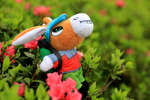 全额积分兑换-山水驴友吉祥物毛绒挂件（山水驴友IP形象）