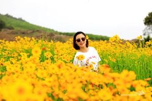 5月27日跟着驴宝去宁海最美公路看最美的花海