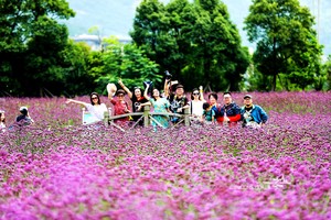 20180602山水驴友走进千亩花海视频