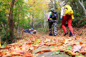 11月25日绿色长征·万里山水环保行第五站（中国劲酒站）抢位中
