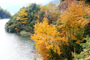 10月20日赏温泉岗上美景，走汉代古道