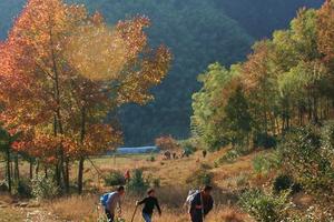 11月3日脚踏三府摘星岭，桃花峧岗美秋景
