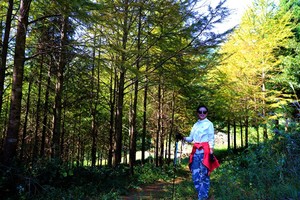 12月8日2019千里走宁海—茶院（第二站）前108名免费报名/先付定金20元，完成全程后全额退还