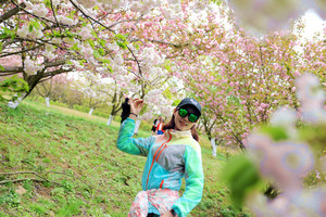 【绿色长征】第三站：2020年4月12日跟随山水一起陷入三生三世樱花劫